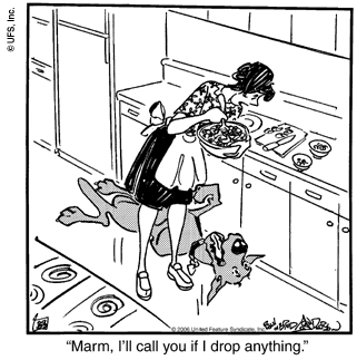 marmaduke